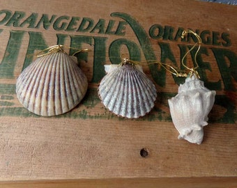 Seashell ornaments, shell Christmas ornaments, seashells, glitter seashells, beach decor, set of 3