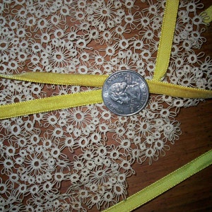 10 m. Chartreuse vintage rayon fluwelen rand 1/4" meter