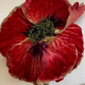 antique velvet silk stunners