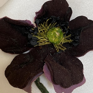 Flor de veludo antiga