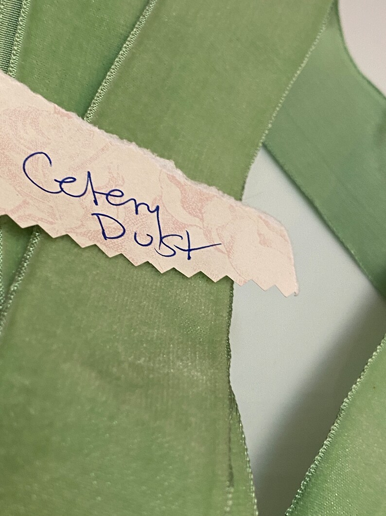 May include: Close-up of celery green velvet ribbon. A torn paper tag with the handwritten words "Celery Dust" is placed on the ribbon. The ribbon has a soft, velvety texture and is folded over itself.