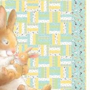 Honey Bunny Quilt kit by Sleeping Bear Press Collection for Michael Miller