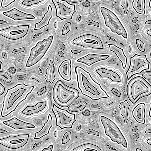 Linework by Tula Pink for Freespirit Fabrics - Black / White Mineral