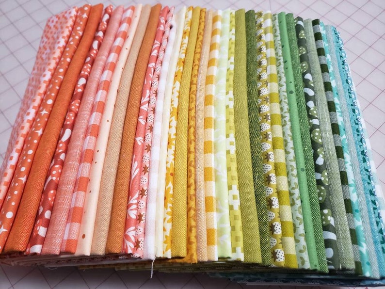 Dinosaurs Quilt Kit by Elizabeth Hartman Complete Kit Etsy