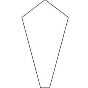 May include: A white five-pointed star shape with a pointed bottom.