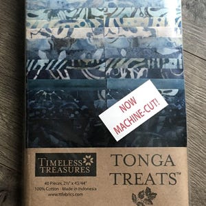 Tonga Treats Strip 40 pc 2-1/2” strips by Timeless Treasures - Color &quot;Eclipse&quot;