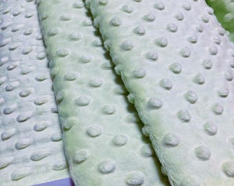 Cuddle Dimple by Shannon Fabrics - Mint Color #4
