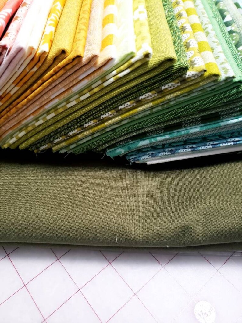 Dinosaurs Quilt Kit by Elizabeth Hartman Complete Kit Etsy