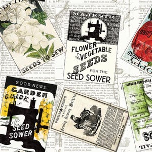 Tossed Seed Packs by J. Wecker Frisch Sewing Seeds III  Collection for Riley Blake Designs - CD15687 White