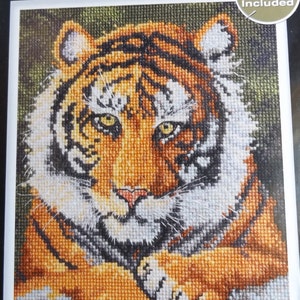 Bucilla Counted Cross Stitch Adapted from Elizabeth Golz Rush Design Rose and Nightingale Opened But Complete 9.5 by 8.5 Inches 43592