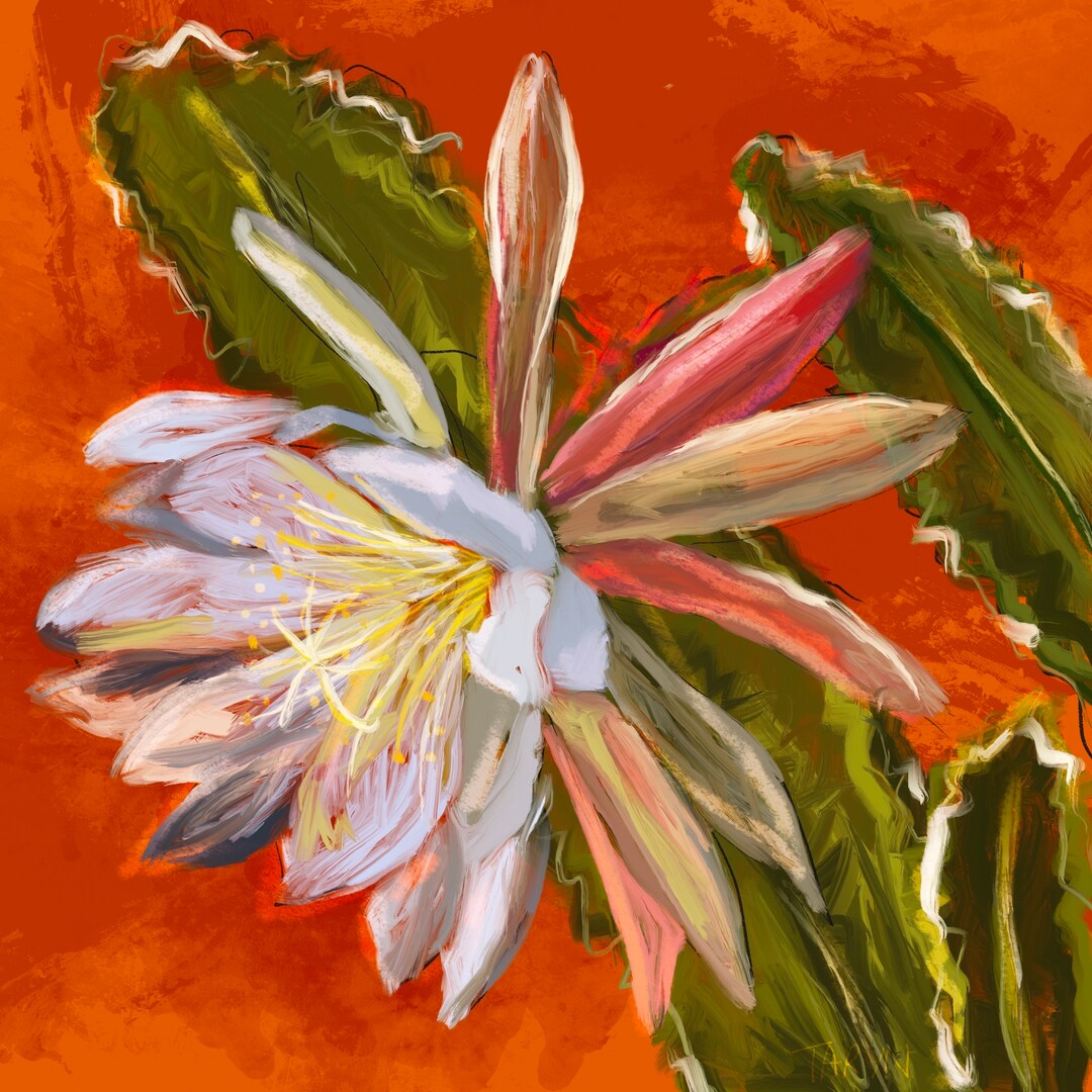 Orchid Cactus Flower Print Orange Flower Art Print Epiphillum Etsy