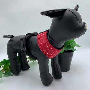 White Polka Dot on Red Harness - Small Dog Harness - Pet Harness - Cat Harness