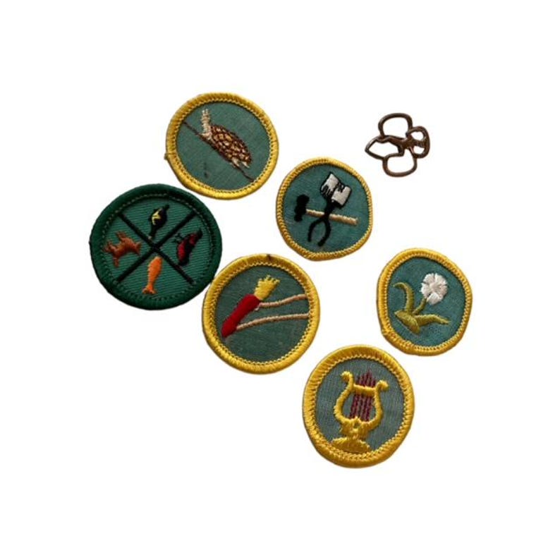 May include: A selection of embroidered badges featuring diverse motifs such as a turtle, tools, a carrot, a flower, and a lyre. The badges have a green backdrop with gold edging.