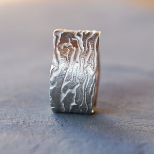 wide silver ring with wild structure
