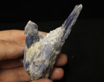 Natural Blue Kyanite Blades in Quartz (Brazil)