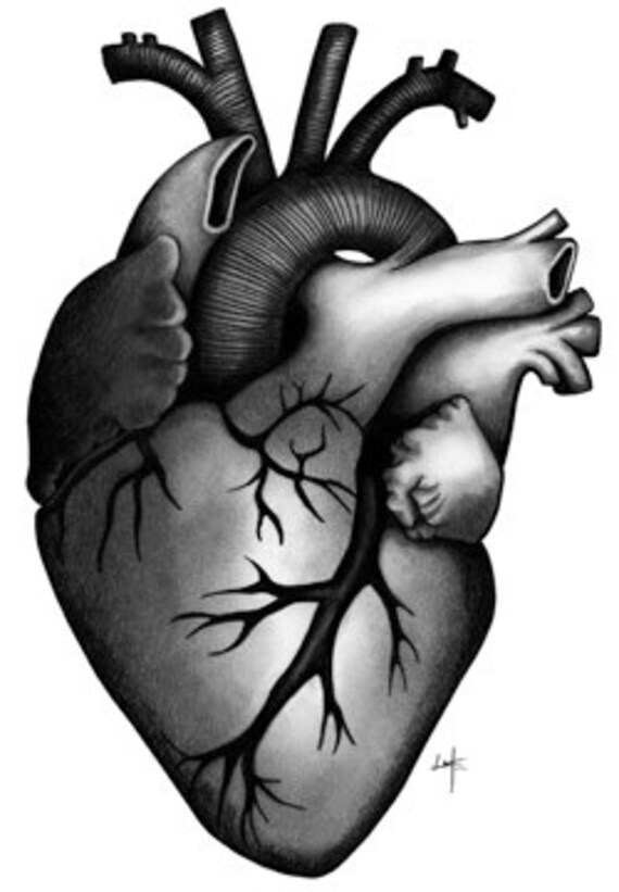 Mani A Cuore Disegno A Matita