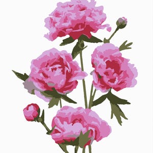Peonies Paint by Number Kit: DIY Botanical Art Orchard Grove - (8x10 inches) Canvas
