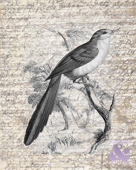 Vintage Bird Printable Digital Image Graphic Collage Sheet | Etsy
