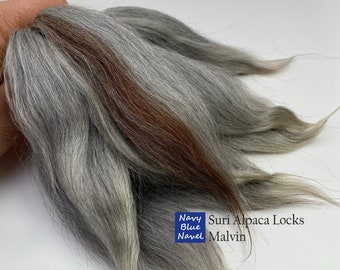 suri alpaca locks 7" (18cm) MALVIN natural silver grey with blonde tips and brown streaks, washed and combed fibers for doll hair projects