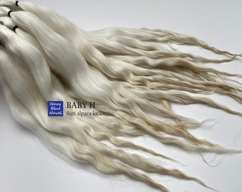suri alpaca locks 11-12" BABY H for doll hair: reroot or wig, pure white with ivory blonde tips, washed and combed locks, natural fibers