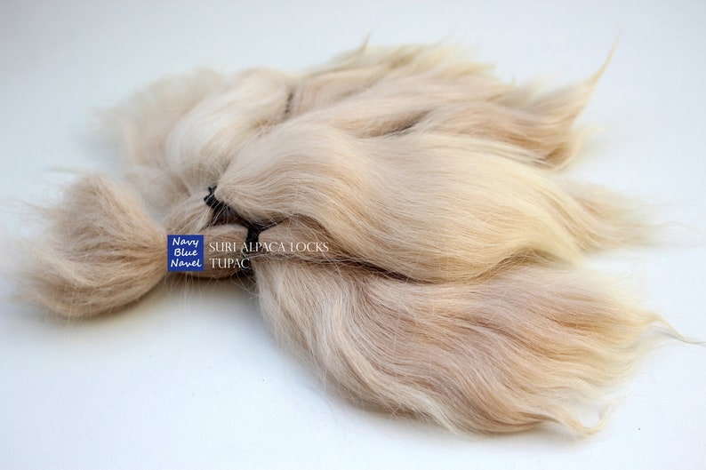 suri alpaca locks 7 TUPAC 17 cm wheat blonde ombre wavy locks, all natural washed and combed Suri alpaca fibers for doll reroot or wig zdjęcie 4