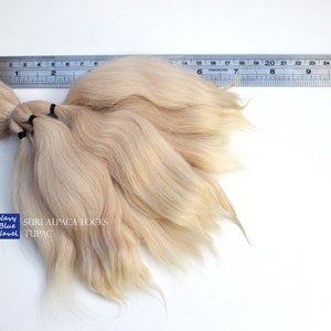 suri alpaca locks 7 TUPAC 17 cm wheat blonde ombre wavy locks, all natural washed and combed Suri alpaca fibers for doll reroot or wig zdjęcie 6