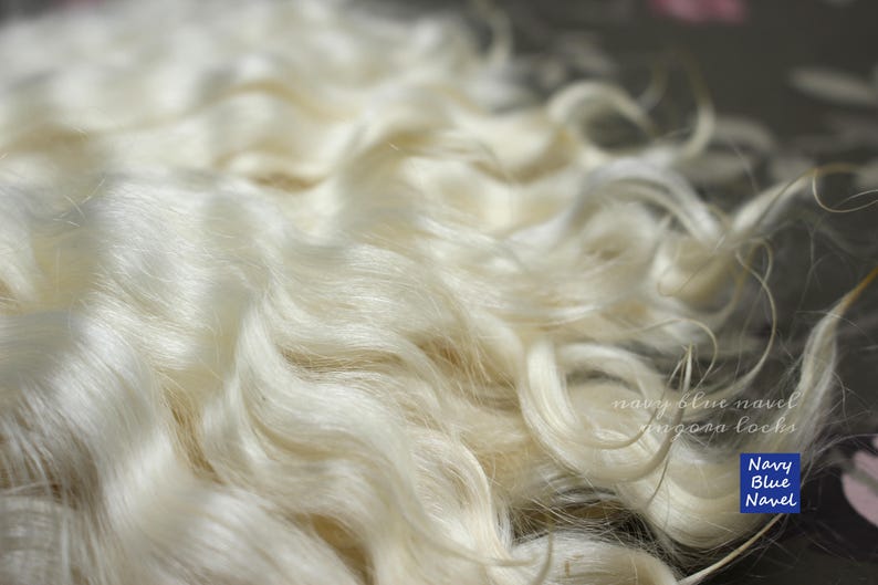 May include: Close-up of a pile of white, curly alpaca locks. The text "Navy Blue Navel" is visible in the lower right corner of the image.
