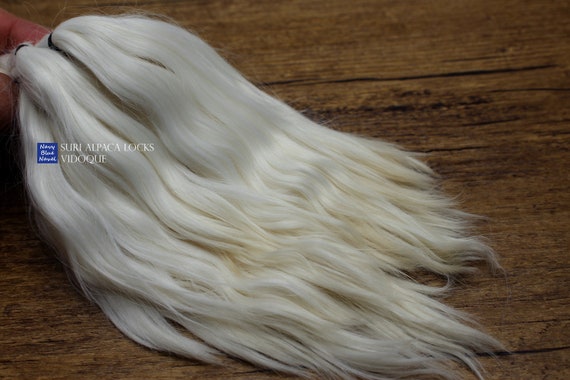 Suri Alpaca Locks 7 Vidoque 17 18 Cm Natural White Etsy