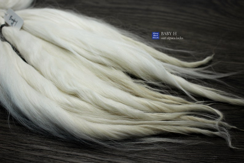 natural fibers pure white with ivory blonde tips washed and combed locks suri alpaca locks 11-12 BABY H for doll hair: reroot or wig