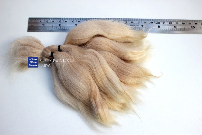 suri alpaca locks 7 TUPAC 17 cm wheat blonde ombre wavy locks, all natural washed and combed Suri alpaca fibers for doll reroot or wig zdjęcie 2