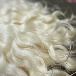 May include: Close-up of a bundle of white, curly alpaca locks. The alpaca fibre is soft and fluffy, with a natural sheen. The text "Navy Blue Navel" is visible in the lower right corner of the image.