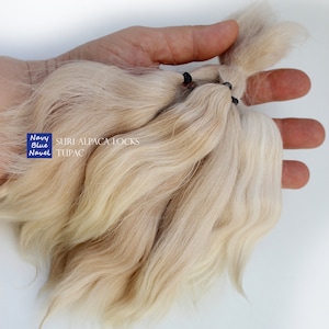 suri alpaca locks 7 TUPAC 17 cm wheat blonde ombre wavy locks, all natural washed and combed Suri alpaca fibers for doll reroot or wig zdjęcie 8