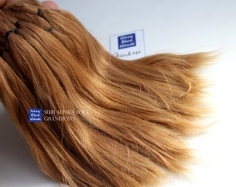 suri alpaca locks 9"/23cm GRANDIOSO light golden brown, prepared for doll hair: reroot or wig, natural washed and combed  fibers