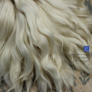 suri alpaca locks 6 " KIMBUNGA natural creamy white ready for reroot, wig, washed and combed, ideal for bjd wig Blythe reroot reborn