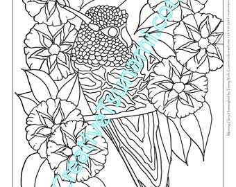 Adult Coloring Page: Morning Glory Hummingbird