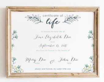 May include: A framed certificate with the words "certificate of life" at the top. The certificate honors Jane Elizabeth Doe, born September 13, 2018, and is signed by Mary and John Doe. The frame is a light brown color.