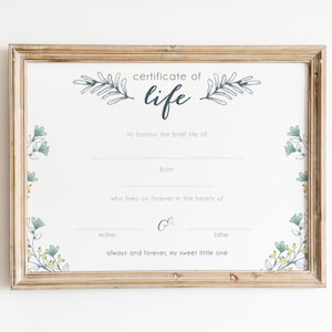 Certificate of Life, Miscarriage Certificate, Stillbirth Memorial ...