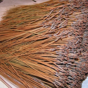 May include: A bundle of dried pine needles, with the ends of the needles clustered together. The needles are a mix of brown and green.