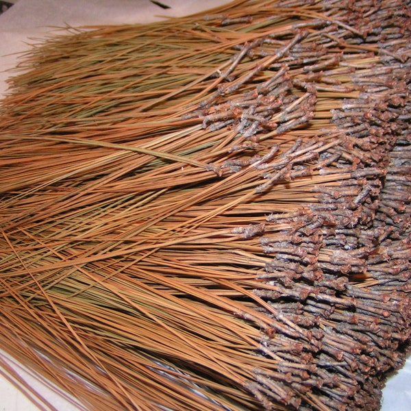 3 lbs Longleaf Pine Needles 9-17 in. for Weaving, Coiling, Gourd Crafts, etc.