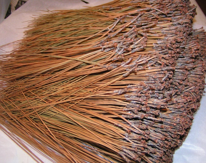 3 Lbs Longleaf Pine Needles 917 In. for Weaving, Coiling, Gourd Crafts