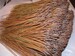 3 lbs Longleaf Pine Needles 9-17 in. for Weaving, Coiling, Gourd Crafts, etc. 