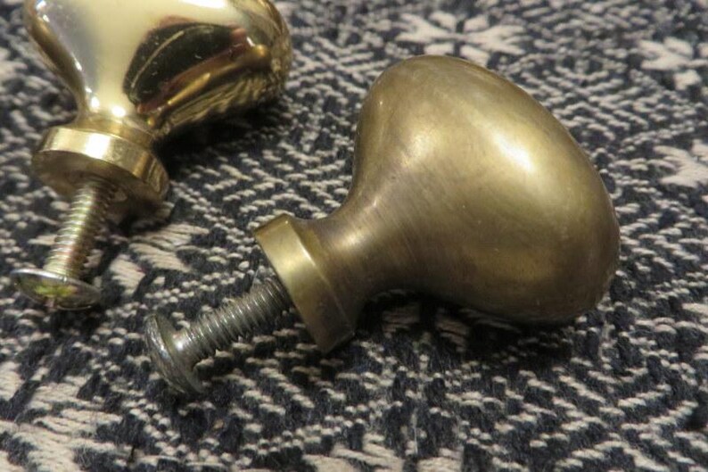 May include: Two mushroom-shaped cabinet knobs made of polished brass. Each knob features a smooth, rounded top and a cylindrical base with an attached threaded metal screw and a flat washer for secure installation on furniture or cabinetry.