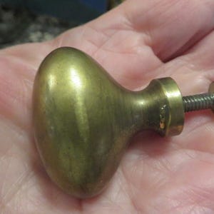May include: A brass cabinet knob with an oval-shaped head and a smooth, metallic finish. The knob features a cylindrical neck that connects to a threaded metal screw and a small circular washer at the end of the hardware component.