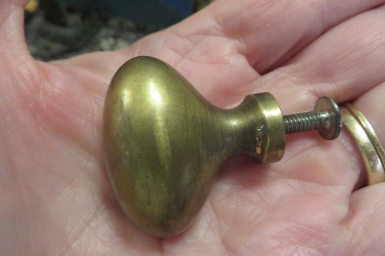 May include: A brass cabinet knob with an oval-shaped head and a smooth, metallic finish. The knob features a cylindrical neck that connects to a threaded metal screw and a small circular washer at the end of the hardware component.