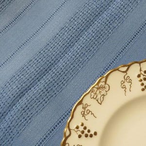 May include: A light blue fabric with a textured vertical striped pattern featuring alternating smooth and woven bands. A portion of a cream-colored ceramic plate with a scalloped edge and a gold-painted grape vine motif is visible in the corner.