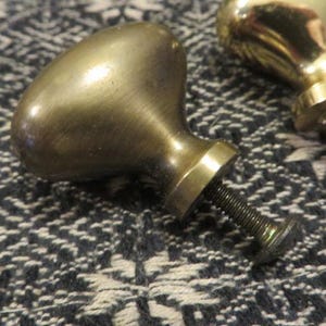 May include: Two brass cabinet knobs with a smooth, rounded, oval-shaped head and a cylindrical base. Each knob features a threaded metal bolt extending from the back, designed for attachment to furniture or cabinetry doors and drawers.