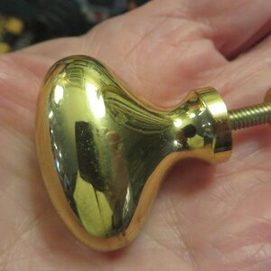 May include: A polished gold-tone metal cabinet knob with an oval, rounded head and a threaded metal screw post extending from the back. The surface of the knob is highly reflective, showing light reflections and a smooth, curved finish.