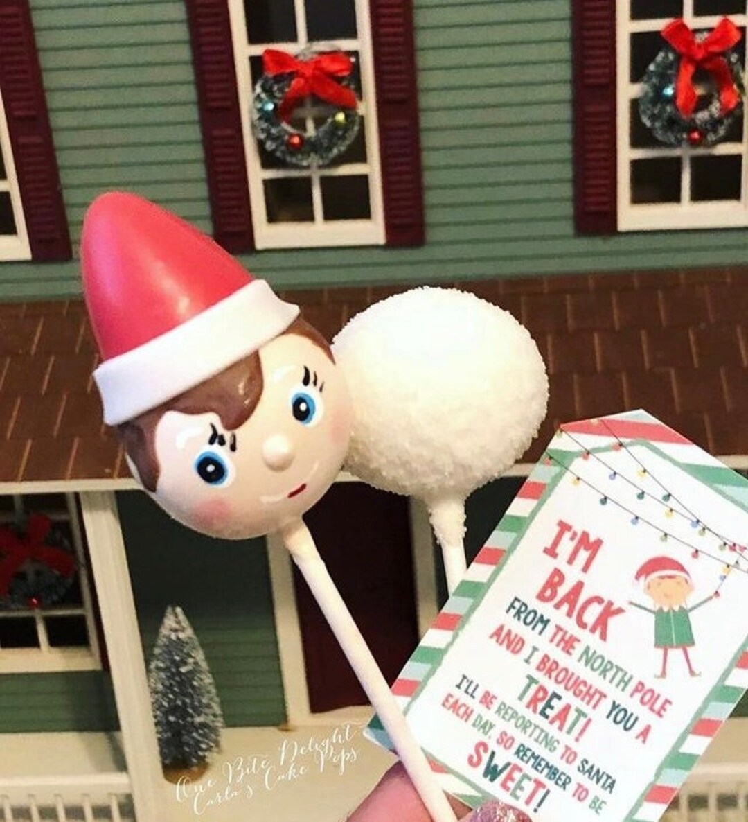 Elf on the Shelf, 2 Cake Pops, Christmas Party, Elf Arrival, Elf on the