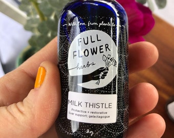 Milk Thistle Tincture // Silybum marianum