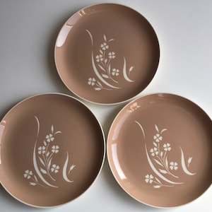 May include: Three brown ceramic dinner plates with a white floral design. The plates have a slightly raised rim.